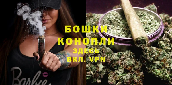 эйфоретик Михайлов